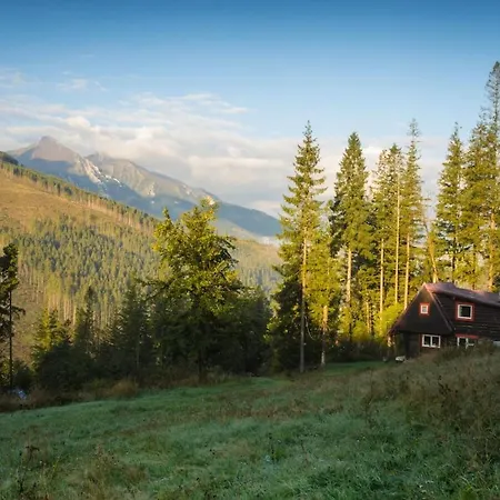Chalet Childhood's Dream